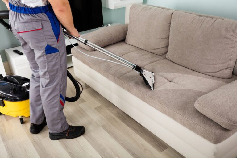 Sofa Cleaning Image