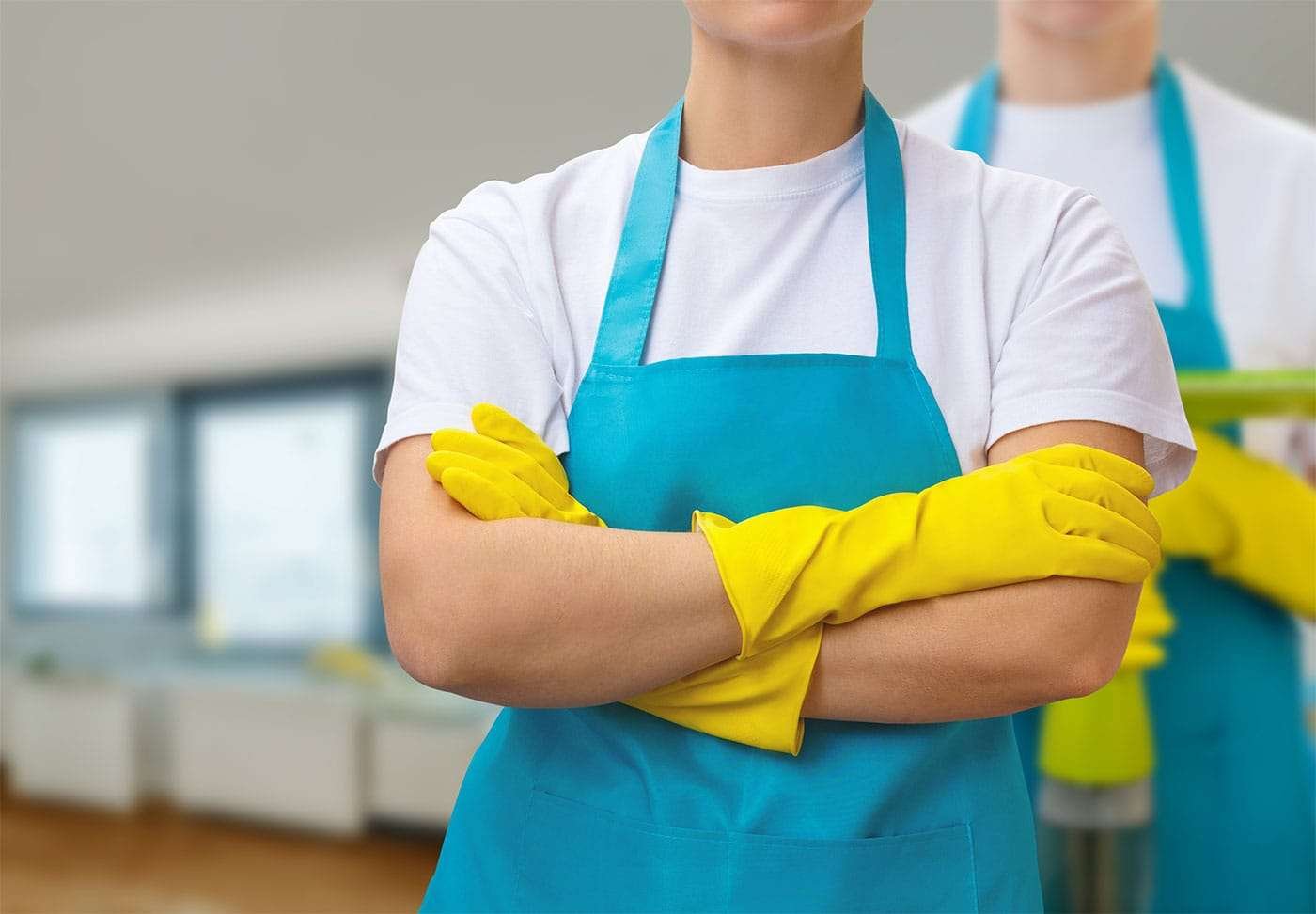 Professional cleaners