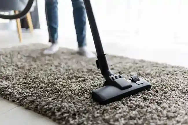 Office Carpet Shampoo